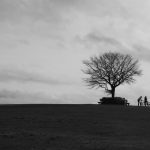 Minimalist landscape photography blog