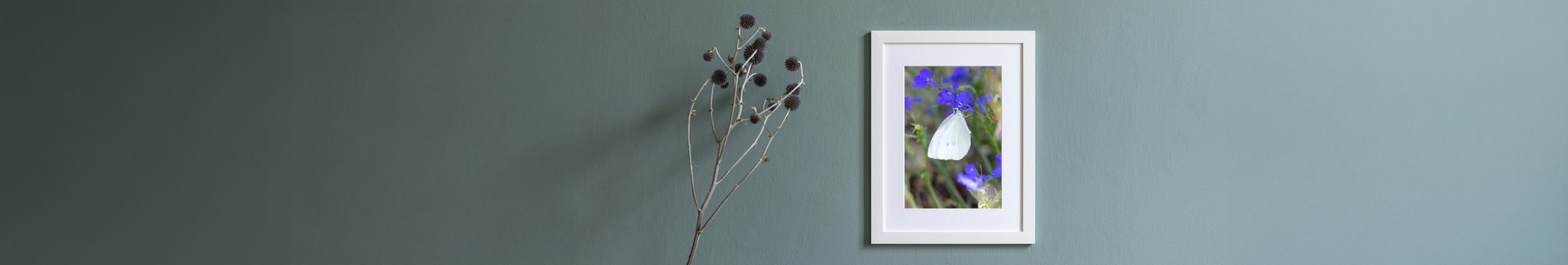 Home decor photography