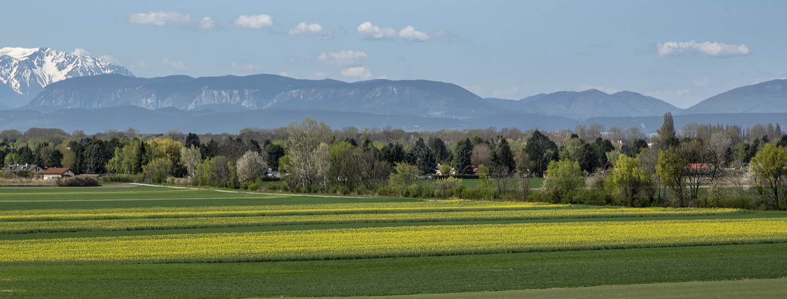Green field landscape photography