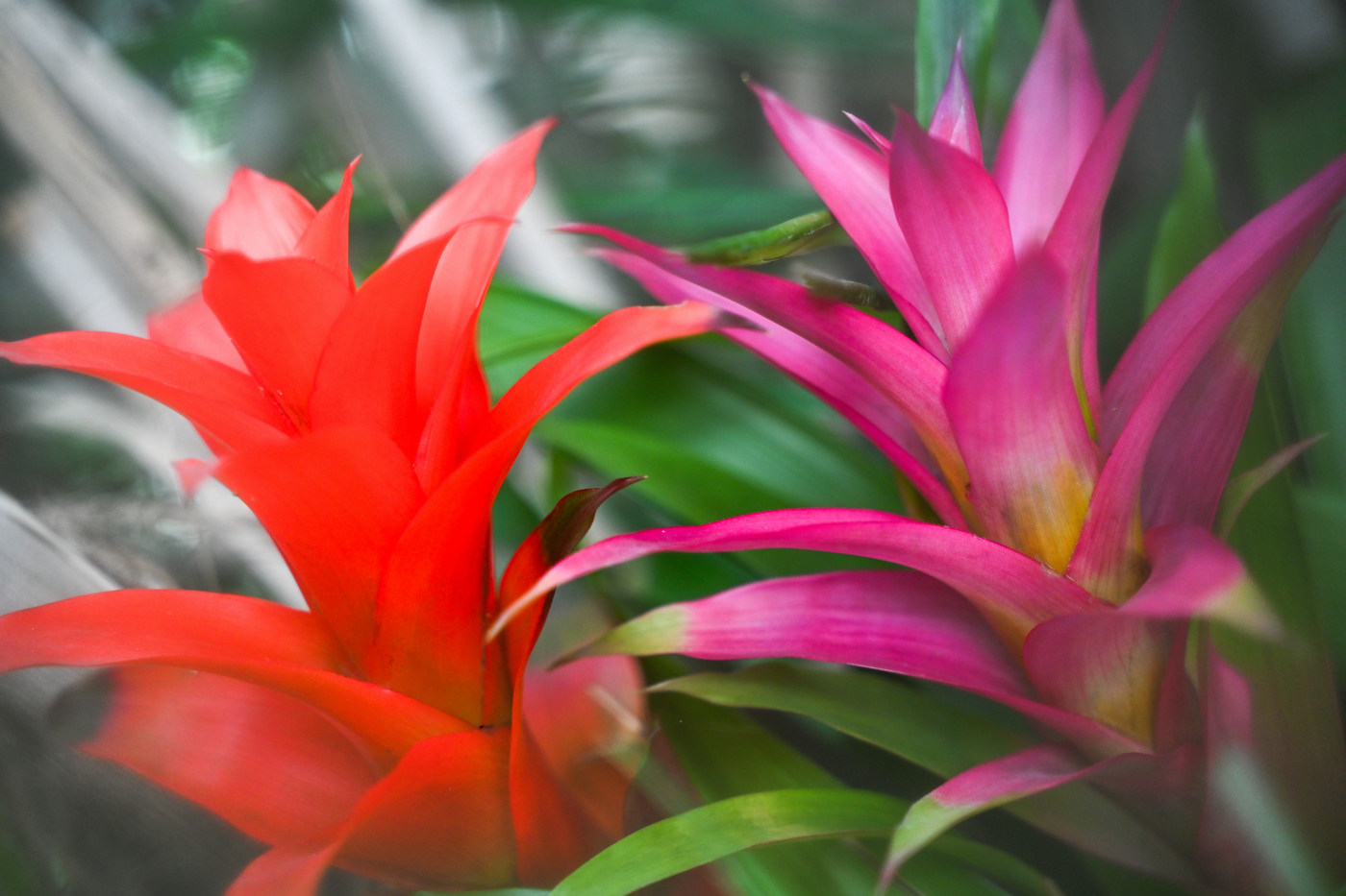 nature photography