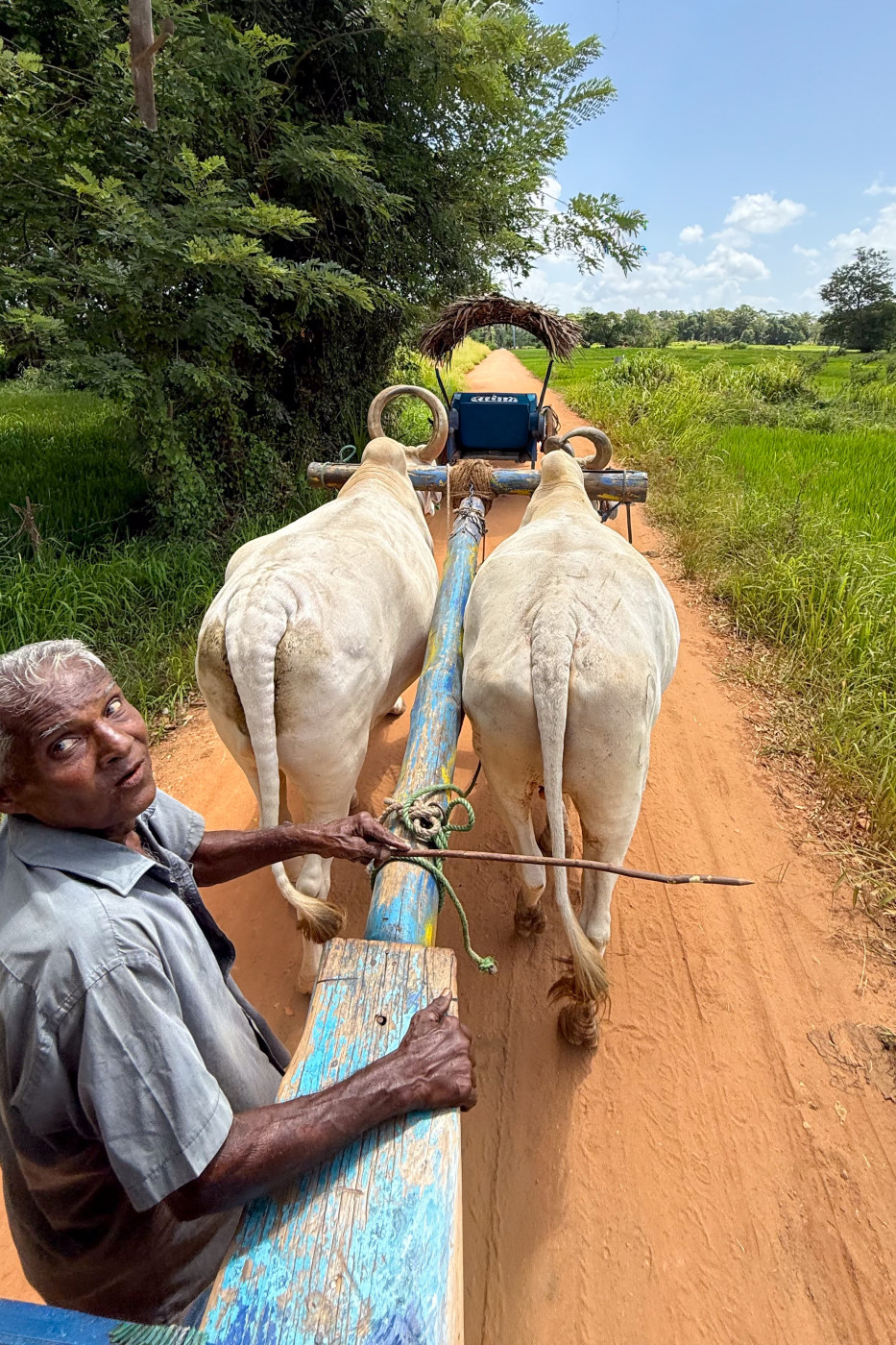 Travel photography in Sri Lanka