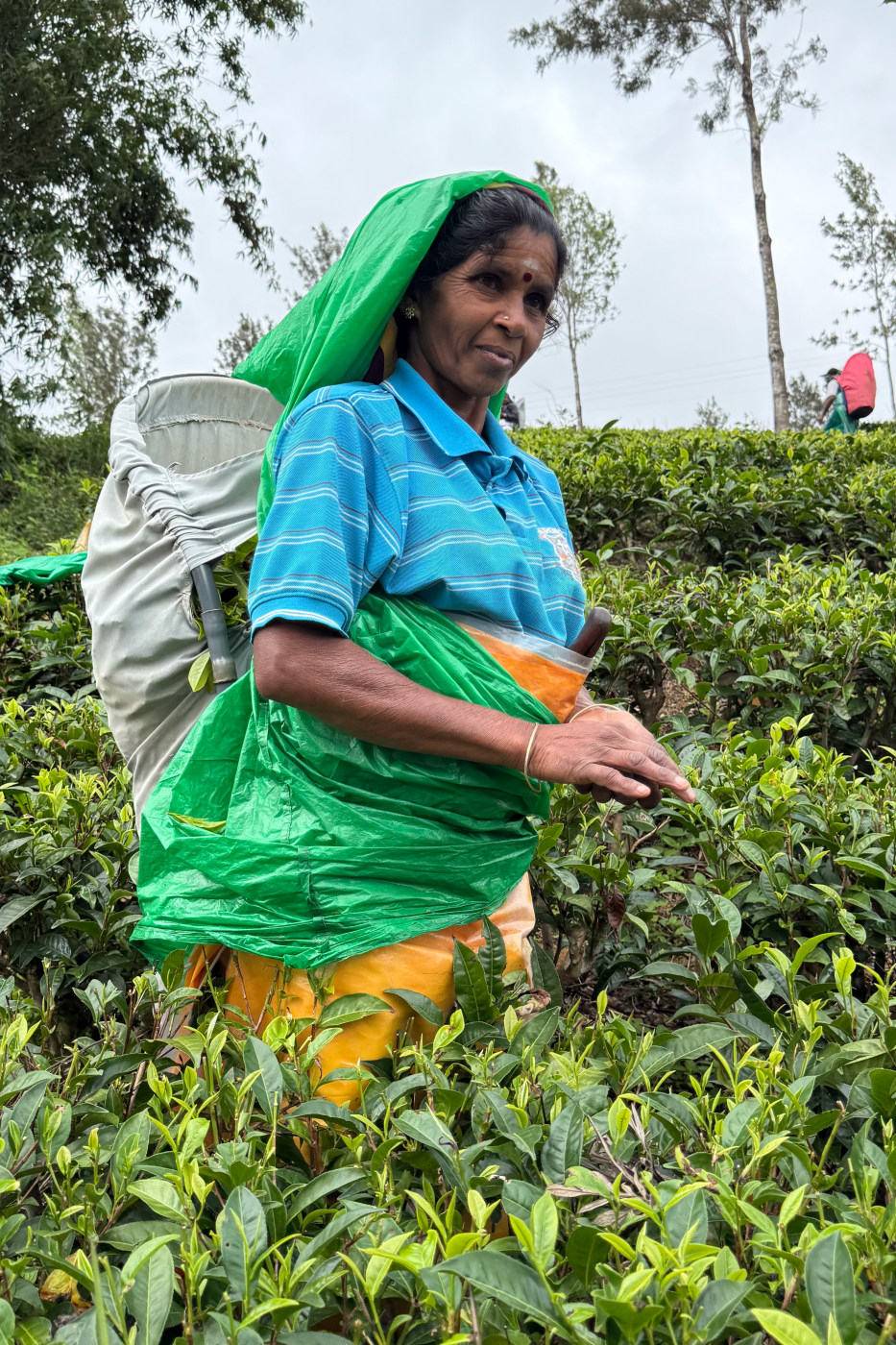 Travel photography in Sri Lanka