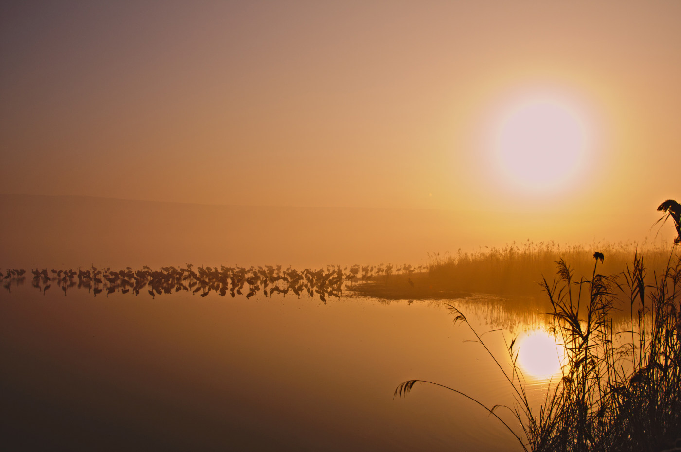 Sunrise landscape photography