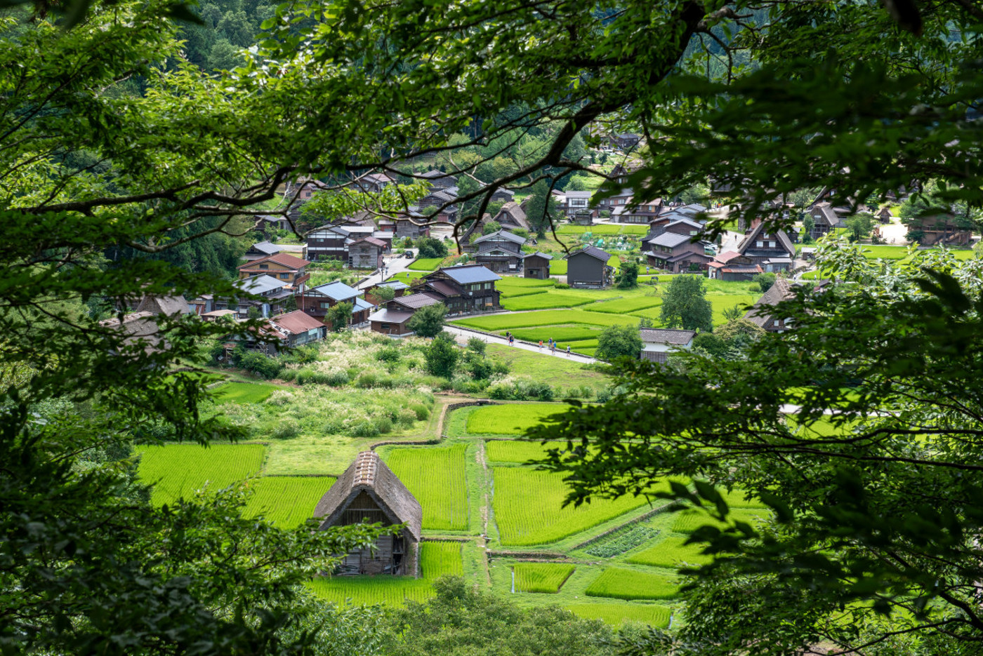 Japanese village photography