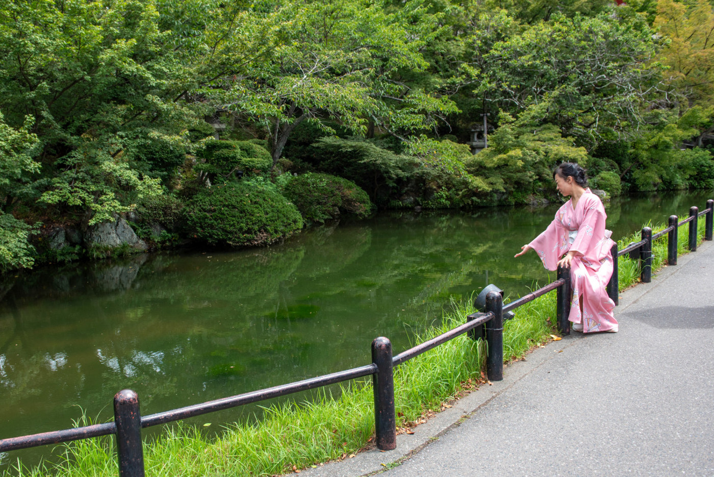Japanese nature landscape photography