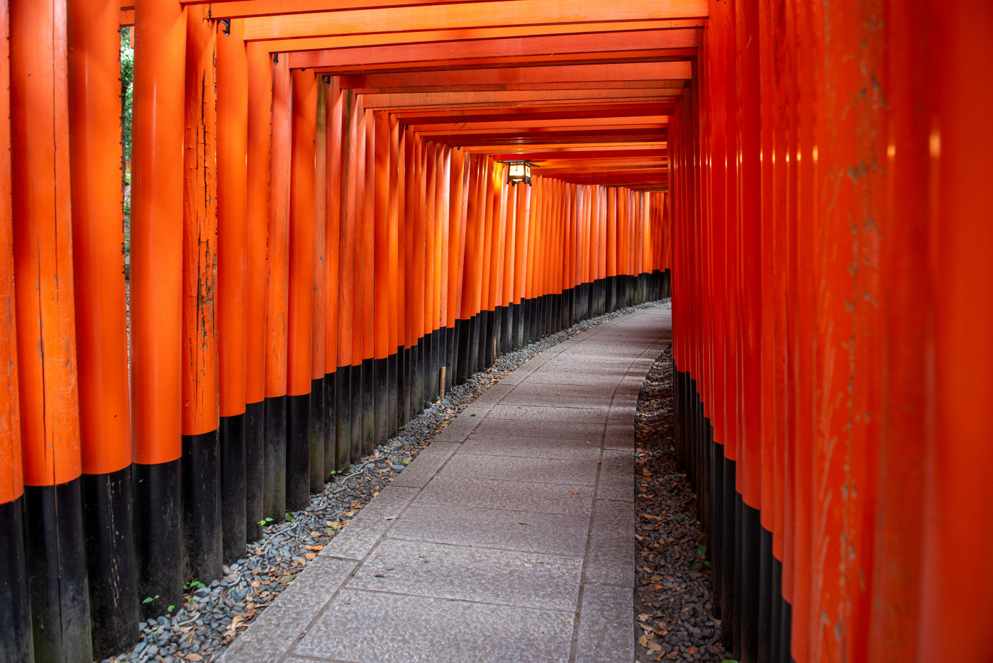 Japanese torii gate photography