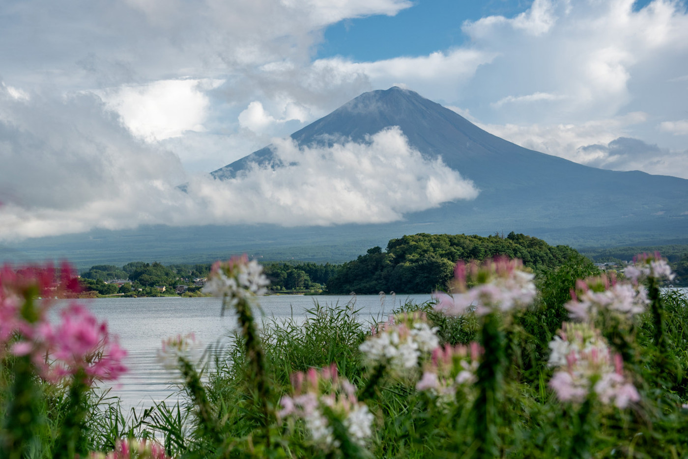 Japanese landscape photography