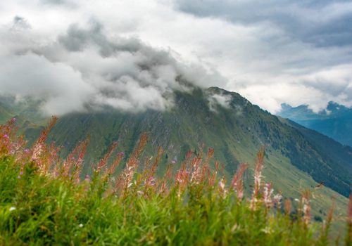 Mountain landscape photography