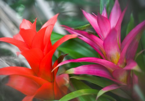 nature photography