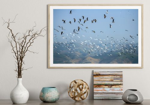 Fine art interior decor photography